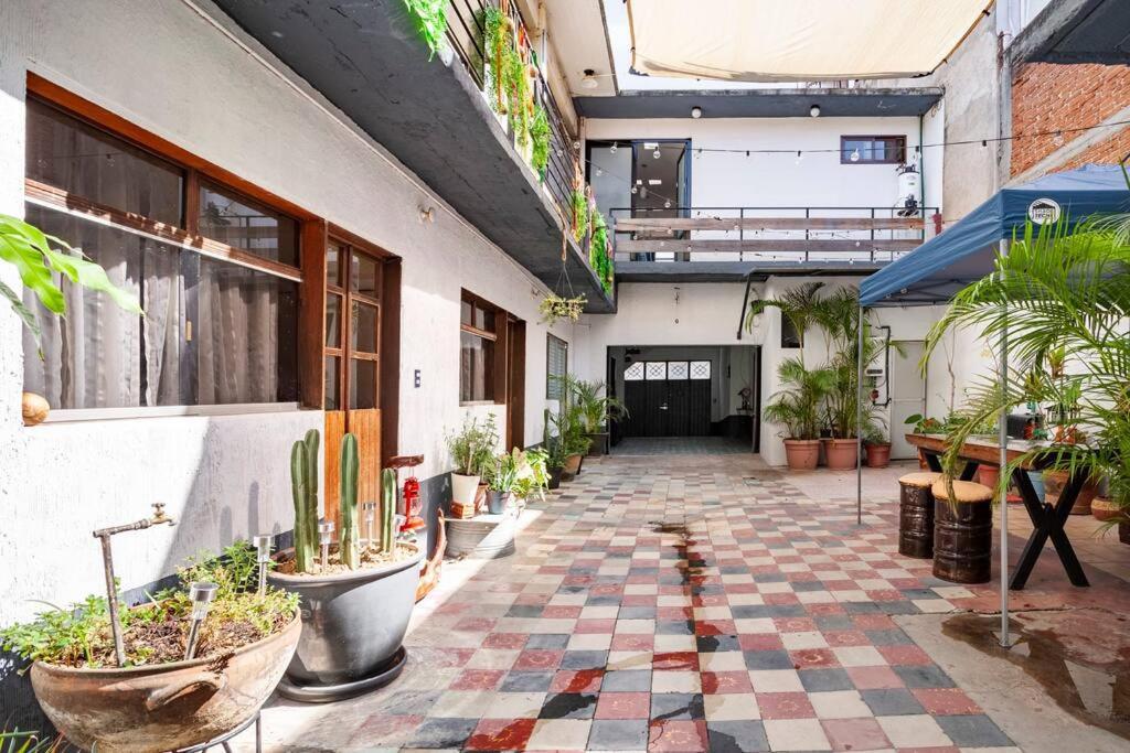 Flor Del Cielo Apartman Oaxaca Kültér fotó